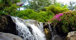 Iazuri,-cascade,-rauri